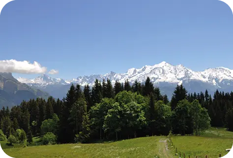 THÔNES 1